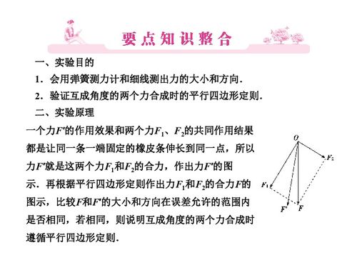 實(shí)驗(yàn)三 驗(yàn)證力的平行四邊形定則