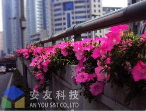 立體交響曲 高架橋綠化景觀設(shè)計(jì)的理念與實(shí)踐