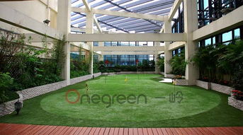 2017年景觀設計新趨勢 人造草果嶺嶄露頭角